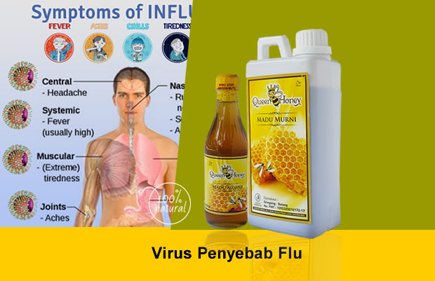 Virus Penyebab Flu