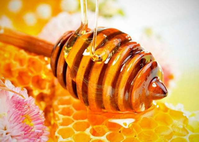 Protein dalam madu