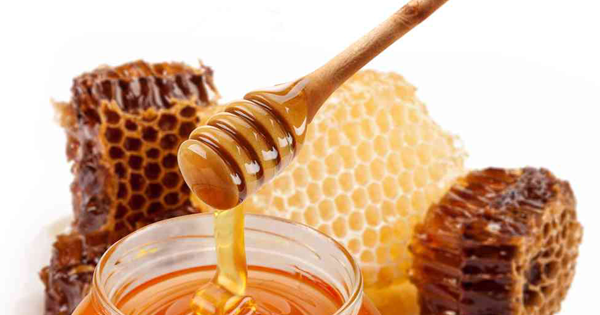 Sifat dari madu