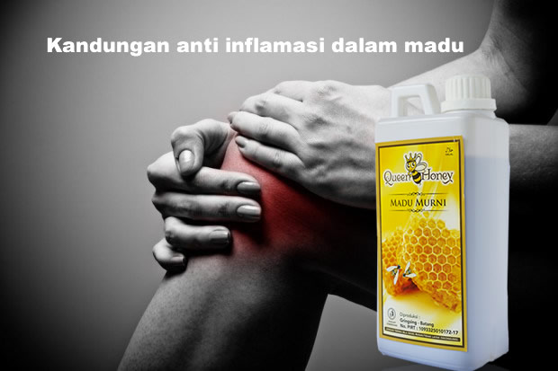 anti inflamasi dalam madu