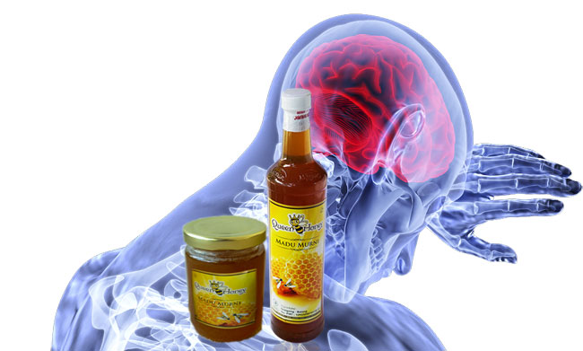 Antiinflamasi dalam madu Queen Honey