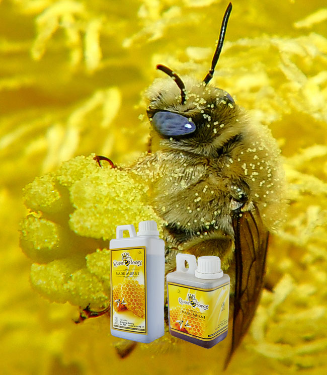 Bee pollen Queen Honey