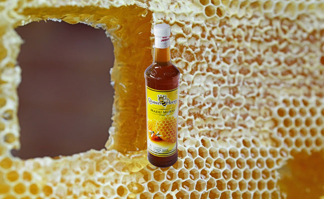 Madu Sarang Queen Honey